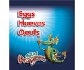 World Alive Refill Eggs AQUA DRAGONS  01ADEG   117335