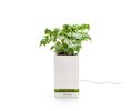 Designnest® LeGrow |TG-P1| |Friendly Workplace| Έξυπνο γλαστράκι - φορτιστής Quick Charge 3.0
