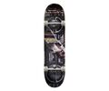 ZOO YORK Boom Box Complete Skateboard 7.75'' - Multi