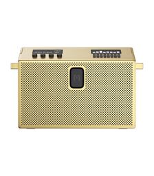Defunc MONDO BT Speaker Large Aσύρματο Hχείο (Brass)