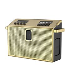 Defunc MONDO BT Speaker Large Aσύρματο Hχείο (Brass)