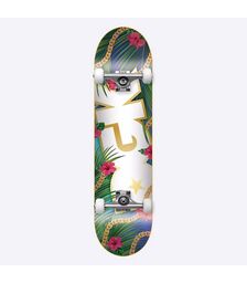 DGK Vacation Complete Skateboard - Multi Χρώμα (Πολύχρωμο), Μέγεθος (8 ίντσες)