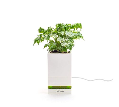 Designnest® LeGrow |TG-P1| |Friendly Workplace| Έξυπνο γλαστράκι - φορτιστής Quick Charge 3.0