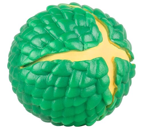 WABOBA SUN DRAGON EGG 20 C02G0130139