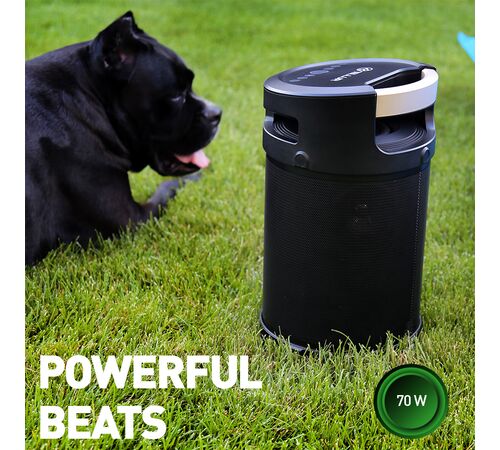 Tellur Rapture Bluetooth Speaker 70W, Black