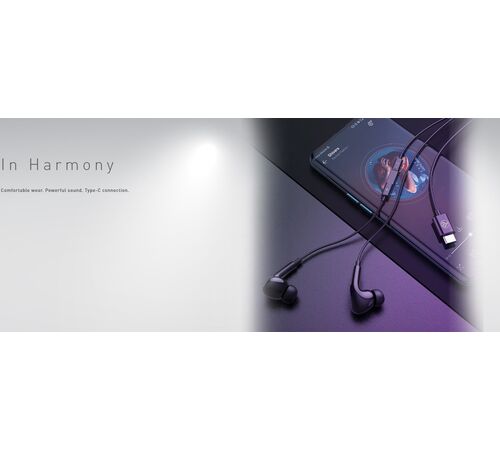 Tellur Attune In-Ear Headphones με Type-C Connector Ακουστικά σε μαύρο χρώμα (TLL162282)
