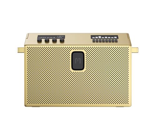 Defunc MONDO BT Speaker Large Aσύρματο Hχείο (Brass)