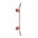 SPEED DEMONS Hot Shot Complete Skateboard 7.5''
