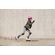 ROLLERBLADE Apex G Παιδικά Ρυθμιζόμενα Πατίνια - Λευκό/Ροζ Χρώμα (Λευκό-Ροζ), Μέγεθος (29-32)