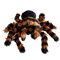 Giant Tarantula Plush XXL – Γιγαντιαία Λούτρινη Ταραντούλα 85 cm