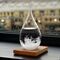 Storm Glass Drop Small – Μικρό Διακοσμητικό Βαρόμετρο σε Σχήμα Σταγόνας με Ξύλινη Βάση (13.5 cm)