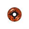 DARKSTAR Levitate FP S/W Complete Skateboard 8'' - Πορτοκαλί