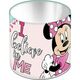 ΜΟΛΥΒΟΘΗΚΗ ΜΕΤΑΛΛΙΚΗ  10X11 MINNIE  000562495