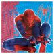 ΧΑΡΤΟΠΕΤΣΕΤΕΣ 33 Χ 33 THE AMAZING SPIDERMAN 20.ΤΕΜ 80471